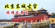 日本美少妇插BB中国北京-东城古宫旅游风景区